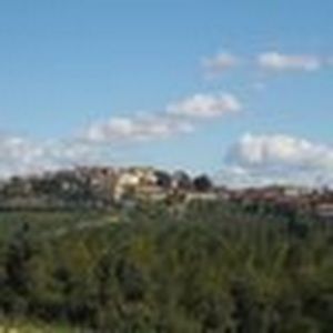 Meet your Posher, Candice